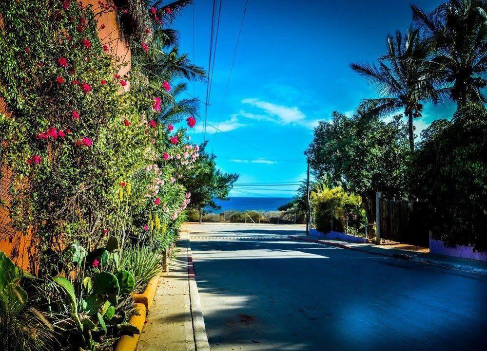 Palapas Resort San Jose del Cabo Exterior photo